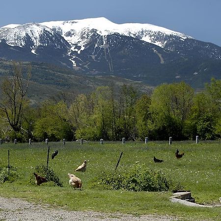 Mas Mallol Puigcerdà Exterior foto