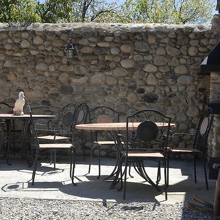 Mas Mallol Puigcerdà Exterior foto